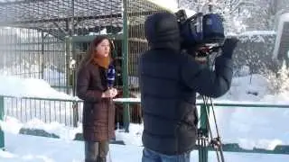 Первый канал в Центре 