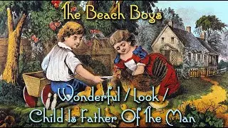 The Beach Boys-Wonderful/Look/Child Is Father of the Man ('Land Of the Free')