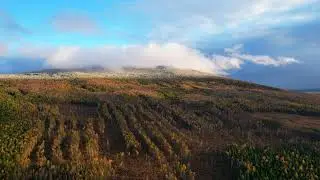 гора Качканар Осень