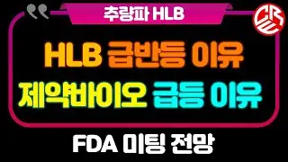 에이치엘비 HLB 급반등 이유 / 제약바이오 급등 이유 / FDA 미팅 전망