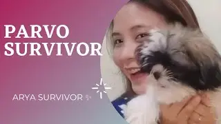 MEET OUR NEW MEMBER OF THE FAMILY | PARVO SURVIVOR | TIPS ON HOW TO HELP YOUR PUPPY TO SURVIVE PARVO