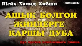 АШЫК БОЛГОН ЖИНДЕРГЕ КАРШЫ ДУБА  Шейх Халид Хибши