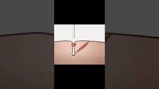How Things Really Work