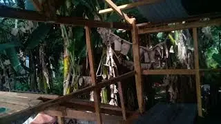 Anime Kuya House Part 1