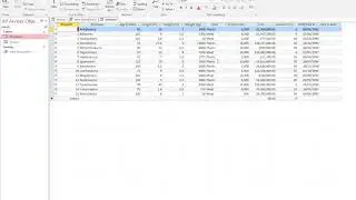 2. Creating an Access Database query, using one table and multiple criteria