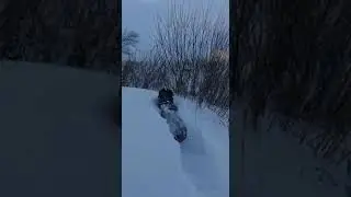 2 ноября 2022 г.(1)