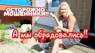 VLOG: ЧУТЬ НЕ РАЗВЕЛИ! ПОКУПАТЕЛИ НАШЛИСЬ!!!