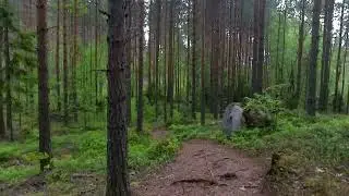 Fatbiking next to lakes to a residency of stone age. Pot coffee and sausage under campfire in wicket