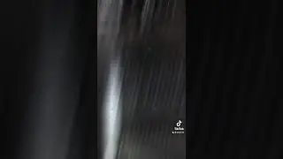 Как вам эксперимент?