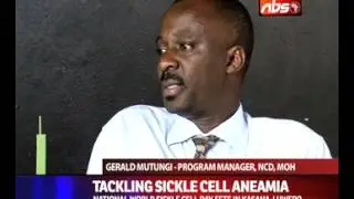 Tackling sickle cell aneamia