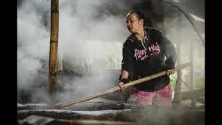 La panela