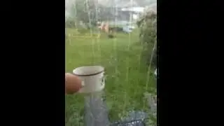 Снег любимый снег