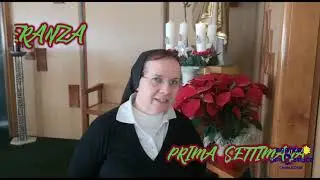 Tg Don Bosco: #5