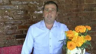 Prezentare candidatura Bogdan Marza Primaria Bucuresci