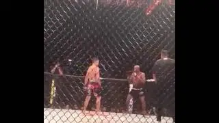 nick diaz laughs at silva