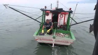 pescaria alto mar - santos - camarão