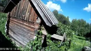 Пасека