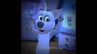 я ебу собак