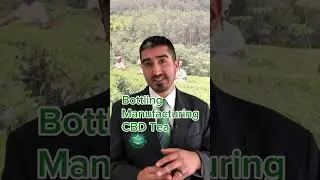 🍵 START & GROW Your Tea Business 📈 Profits & Sales