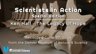 Scientists in Action: Orcas, Art, and Inspiring Change