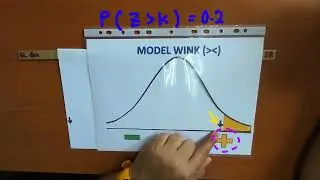 MODEL WINK