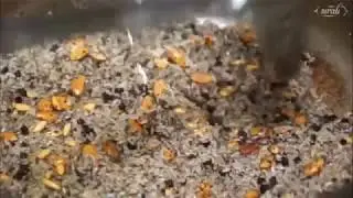 İç Pilavlı Hindi Dolması (Sıralı Kebap)