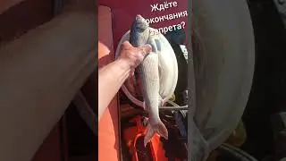 Трофей или мелочь? 