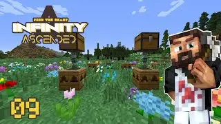 FTB Infinity Ascended (Evolved) #9 - Abeilles !