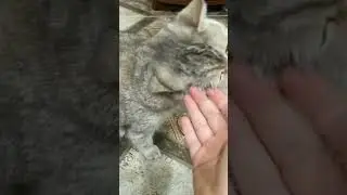 Ася, доброе утро😊