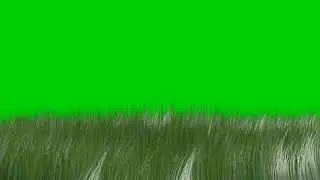 Grass Green Screen Effect Video Grass Black Screen Effect Video