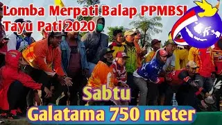 Lomba Merpati Balap PPMBSI Tayu Pati  Lomba Utama hari Sabtu 12 September 2029