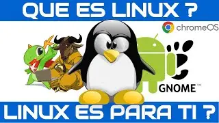 LINUX ¿QUE ES? ¿PARA QUE USUARIOS Y CON QUE PROPOSITOS FUE DESARROLLADO?