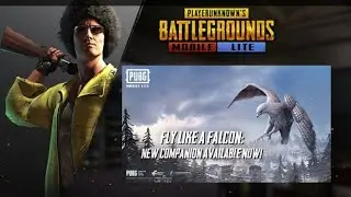 PUBG LITE FALCON REDEEM CODE // PUBG LITE