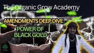 How to Use Worm Castings for Explosive Growth (Living Soil DIY)