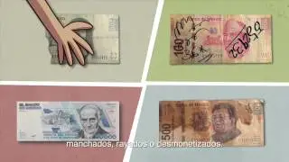 Canje de billetes y monedas - taquero