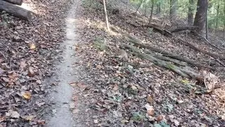 Raccoon surprised to see me