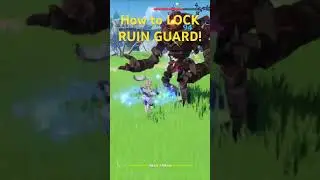 How to Lock RUIN GUARD! 