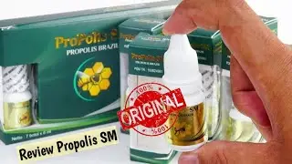 Review Propolis SM Brazilian