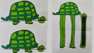 #shorts Unique Tortoise Drawing