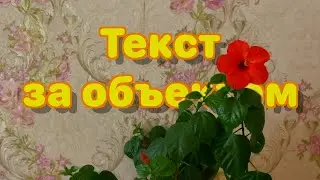 Примеры изображения или текста за объектом
