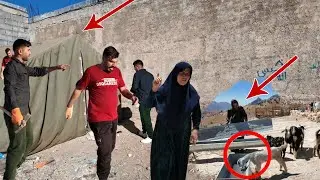 Habib Visited Hassan New & Old Farmlands: The fate of separation or family reunion 