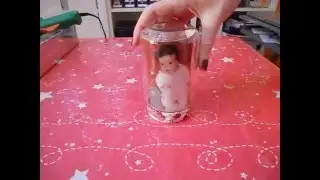 DIY -  Portafotos con bote de cristal