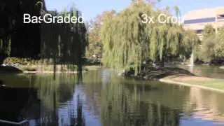 Canon EOS 600D/T3i Video 3x Crop Mode vs. No Crop and Color Grading Test