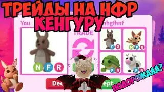 ТРЕЙДЫ НА НФР КЕНГУРУ В АДОПТ МИ РОБЛОКС TRADE NFR KANGARO ADOPT ME ROBLOX ЧТО МНЕ ДАЛИ ЗА КЕНГУРУ