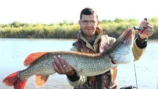 Щуки монстры. 9 забросов - 9 щук.