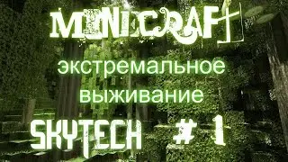 ЭКСТРЕМАЛЬНОЕ ВЫЖИВАНИЕ НА SKYTECH # 1