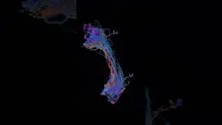 Auditory Neurons