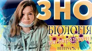 ЗНО. Біологія на карантині. Білки, ліпіди, вуглеводи.