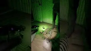 можно заказать пиццу 3 сыра?