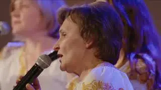 Повертаються лелеки в Україну | Квартет м. Житомир